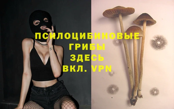 стафф Киреевск