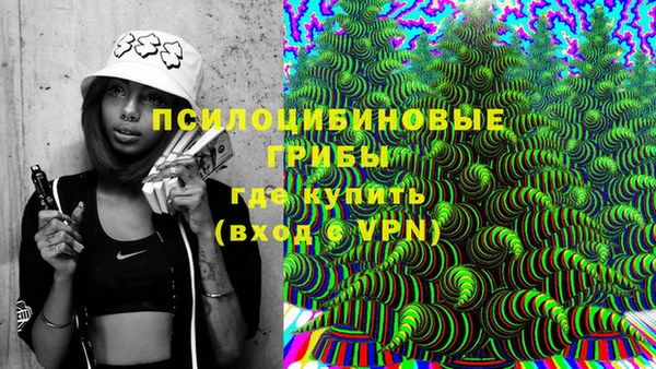 spice Кинешма