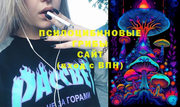 spice Кинешма