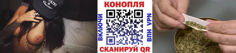 Купить закладки  Будённовск  Шишки марихуана OG Kush 